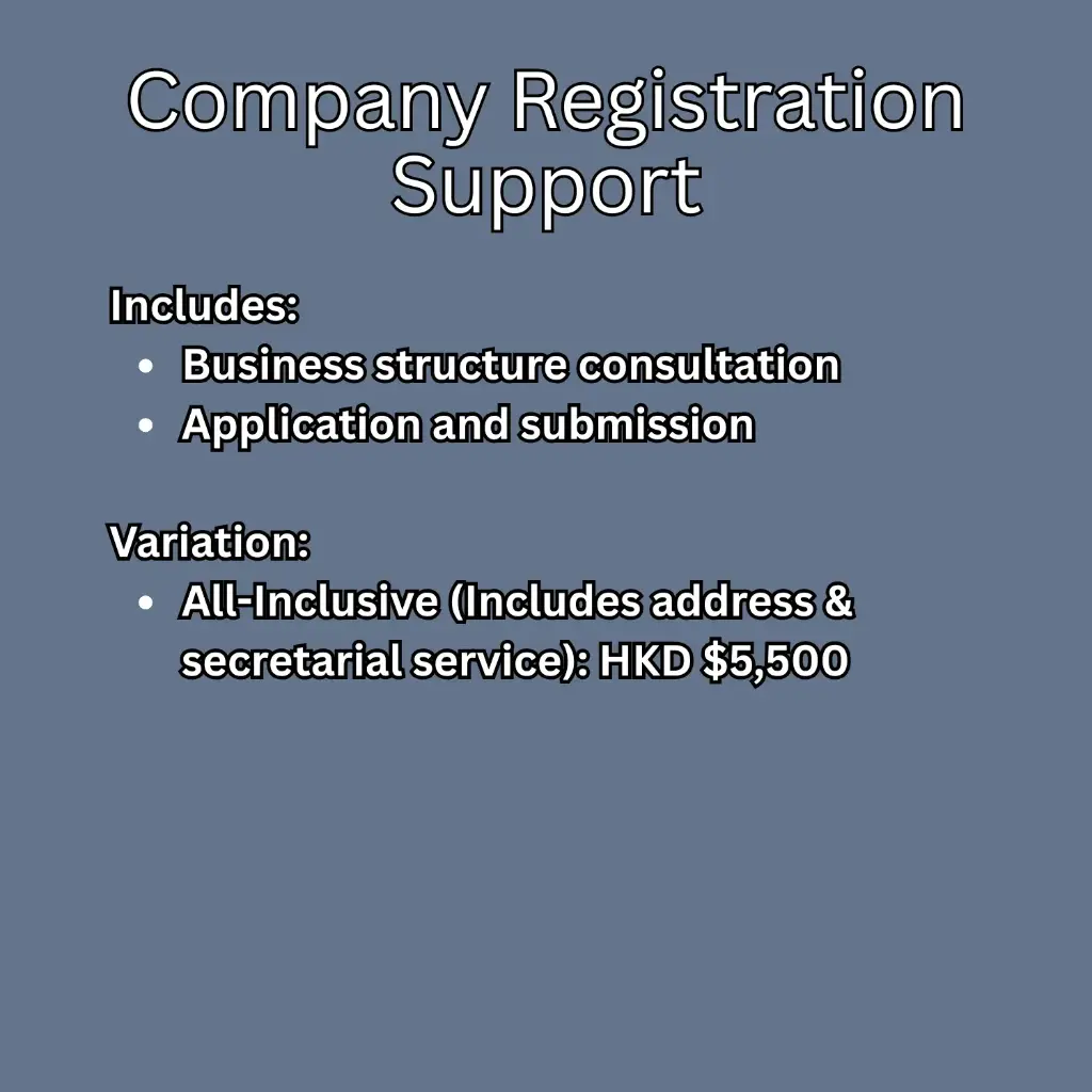 Company Registration Support