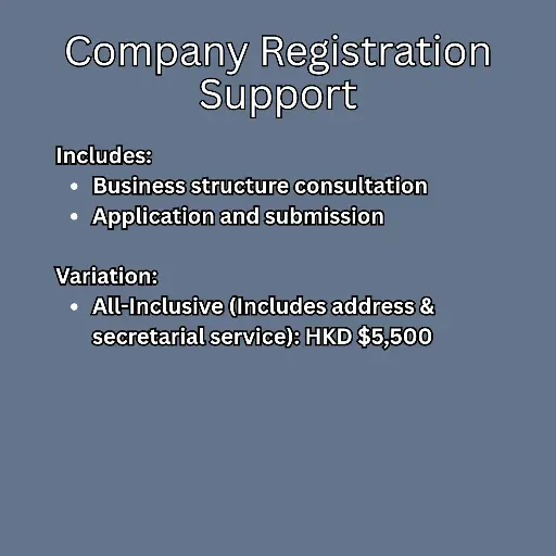 Company Registration Support